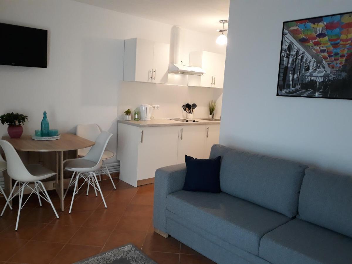 Cassa Blue Apartment Timisoara Exterior photo